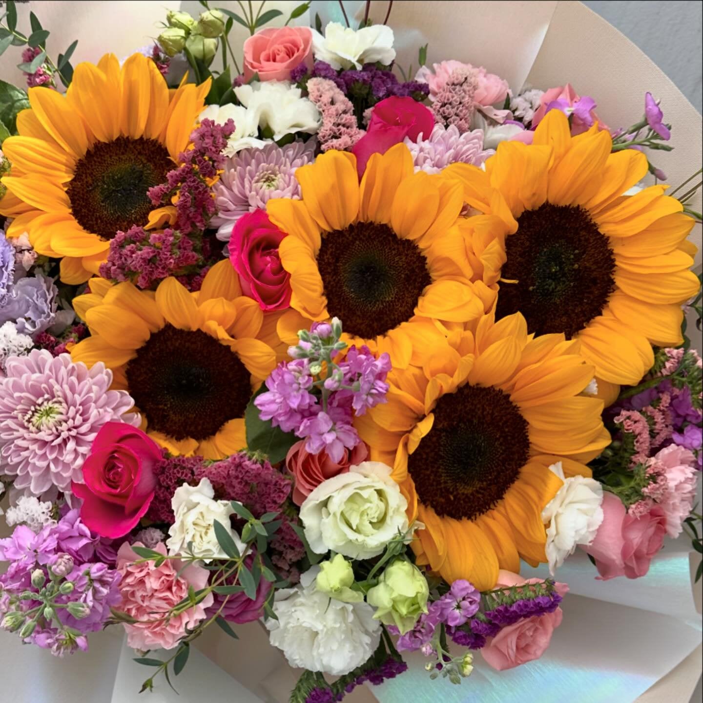 Girasoles