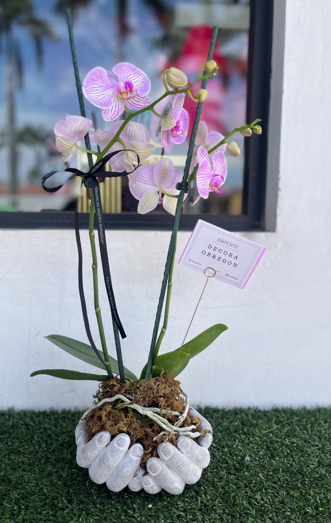 Orquídeas