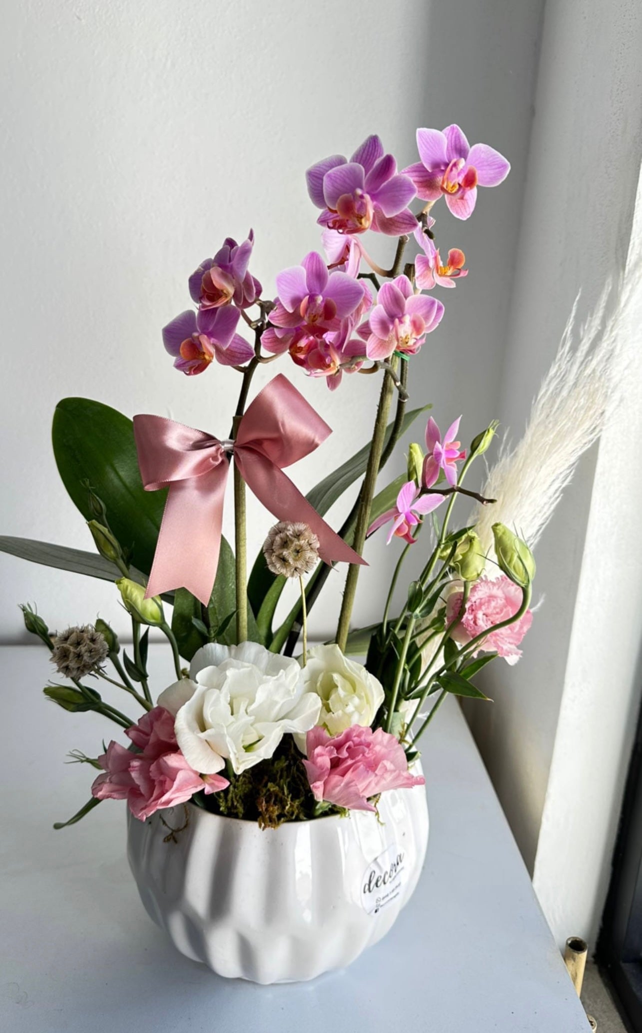 Orquídeas