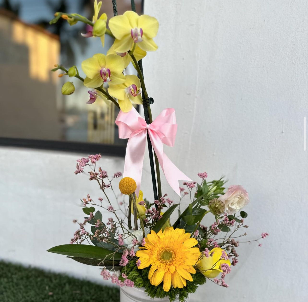 Orquídeas
