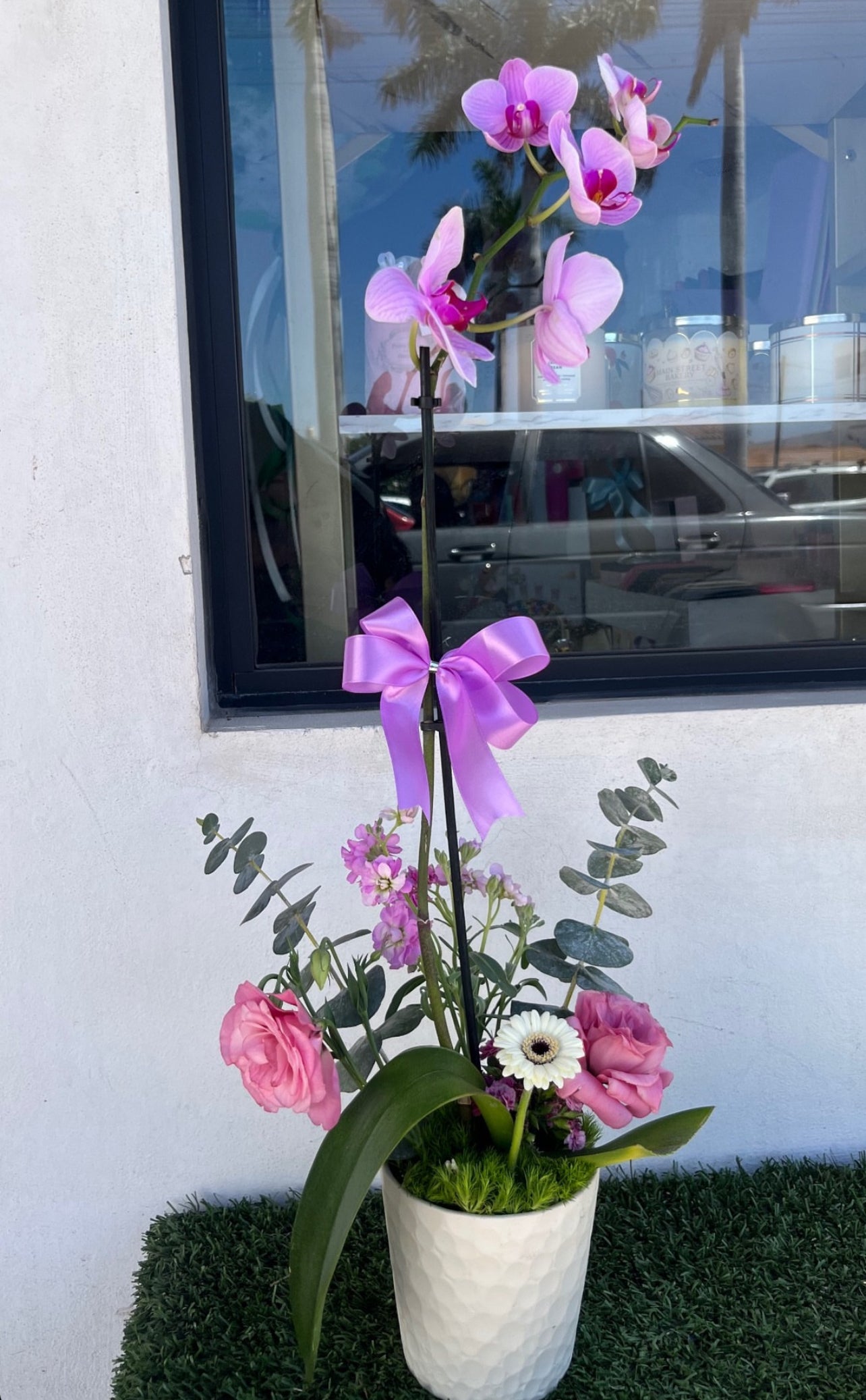 Orquídeas