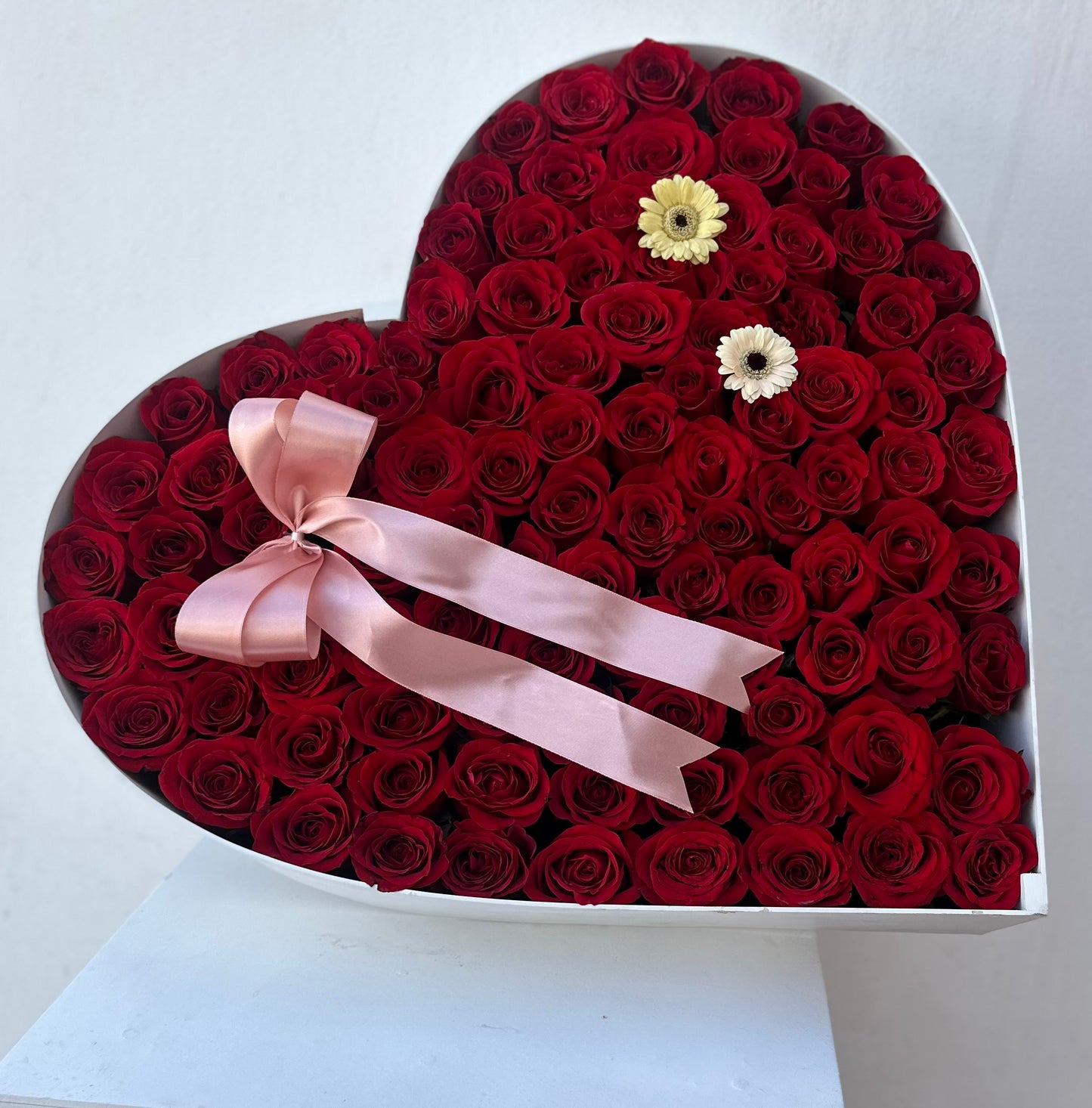 Red Rose