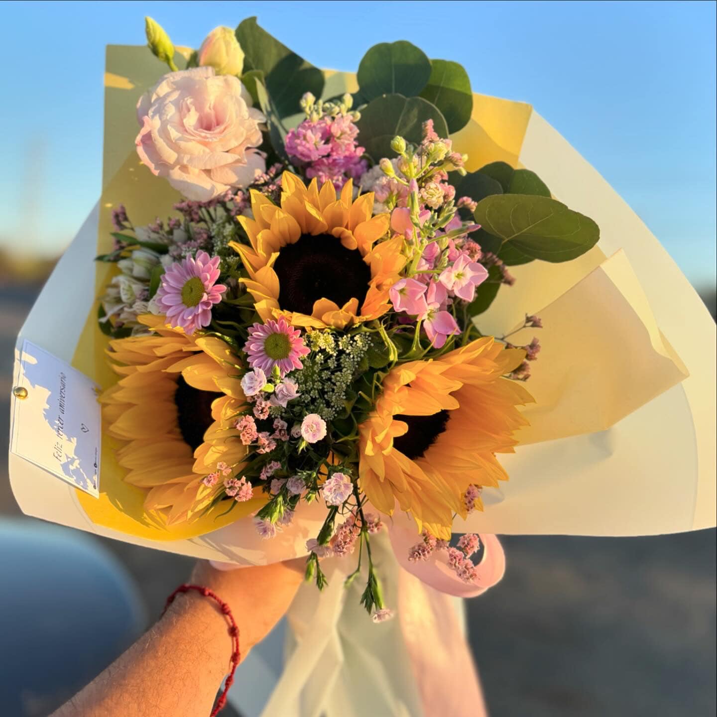 Girasoles