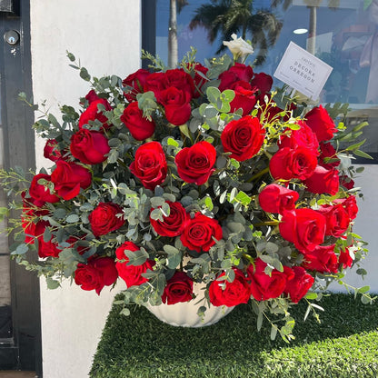 Red Rose