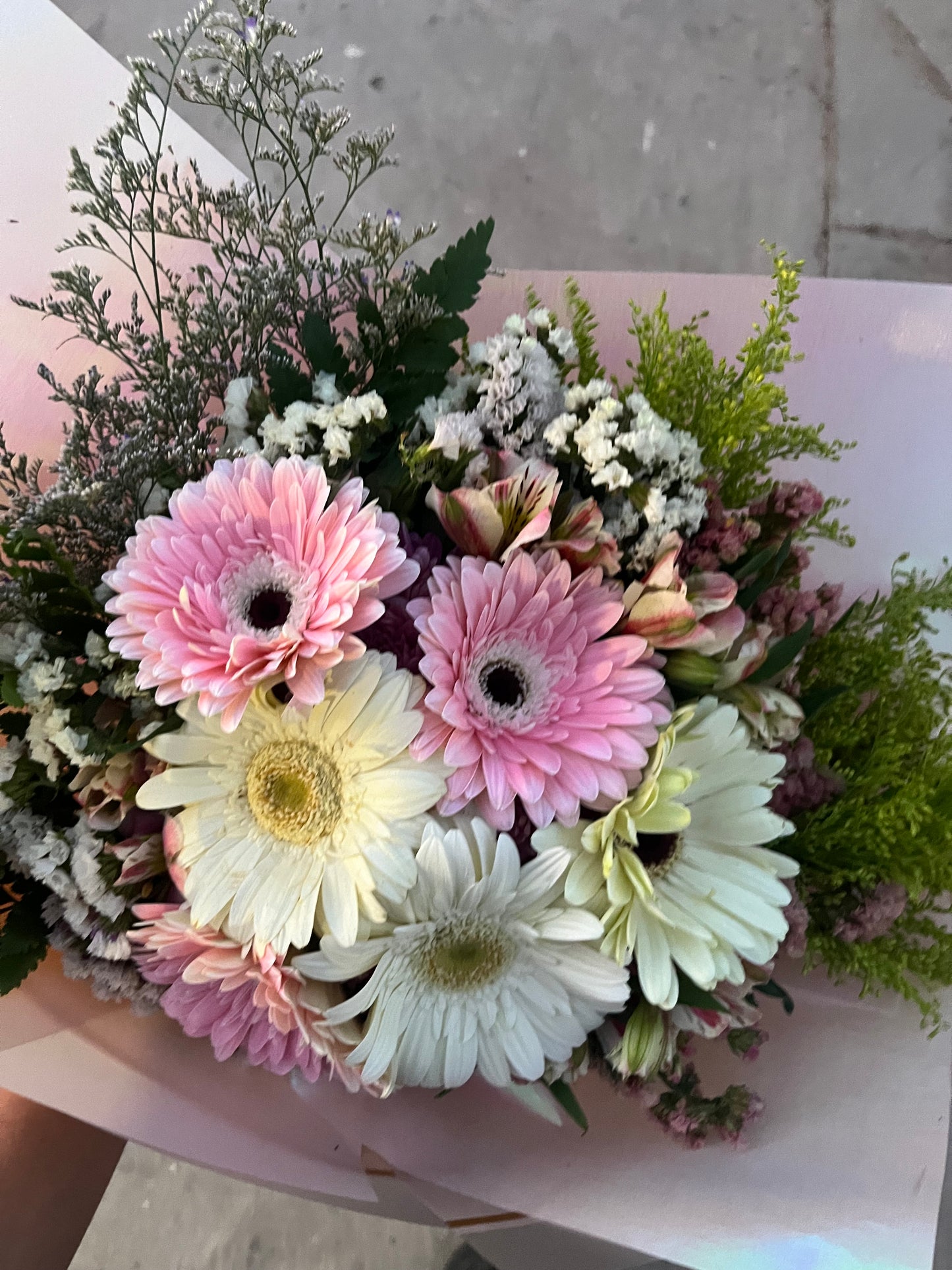 Gerberas