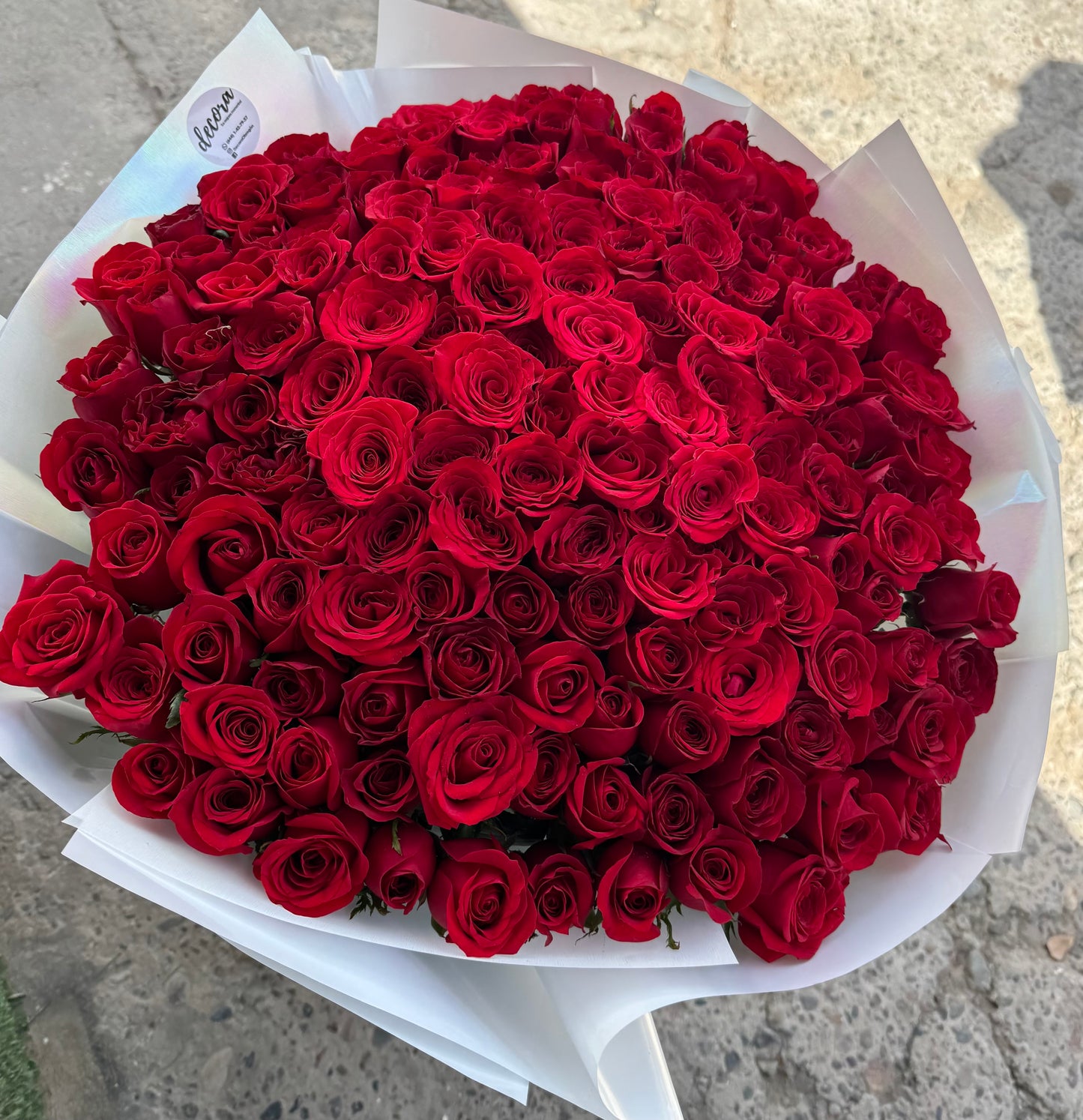 Red Rose