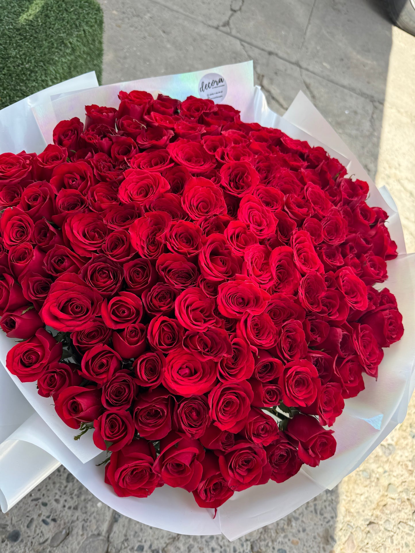 Red Rose