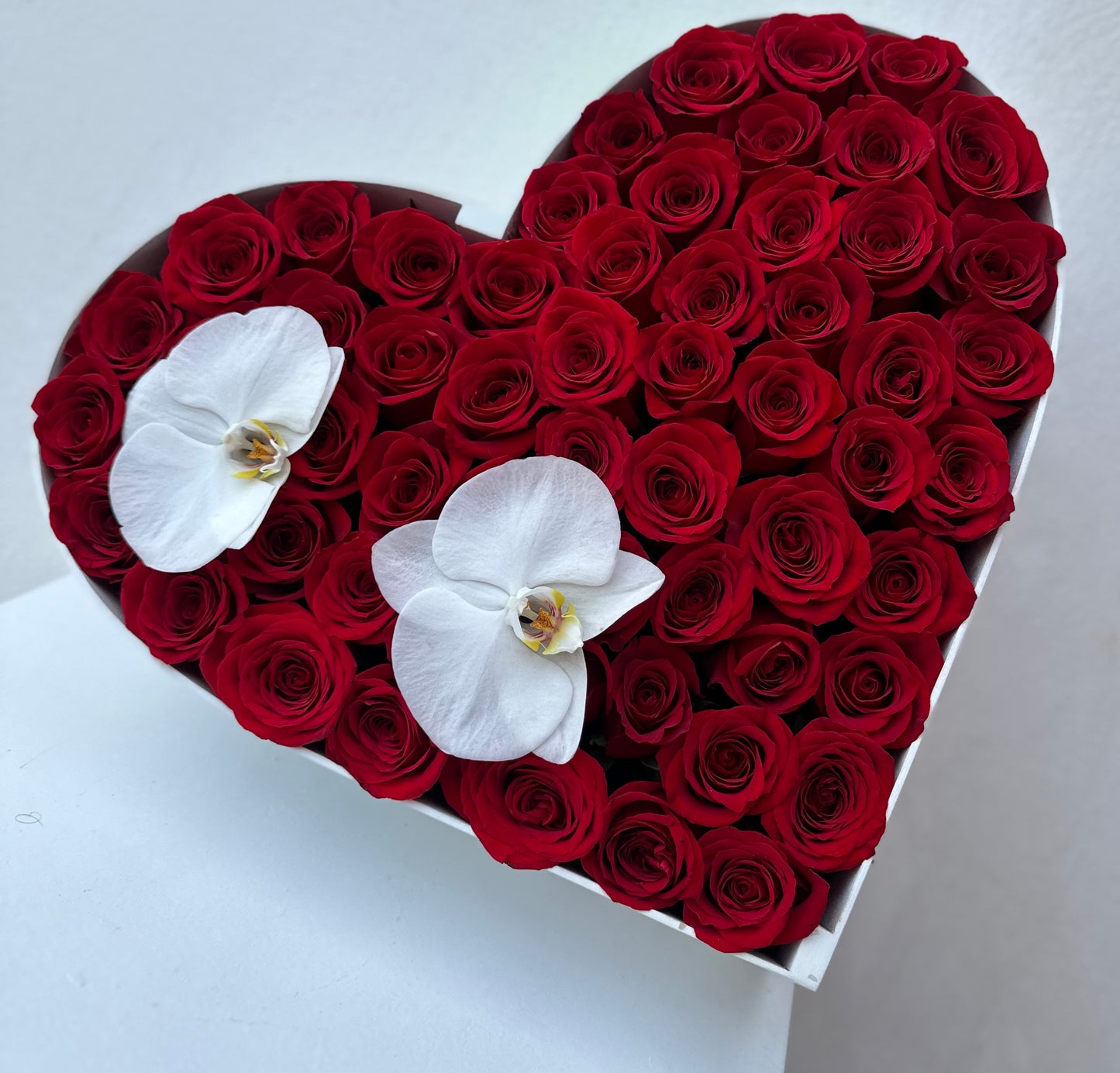 Red Rose