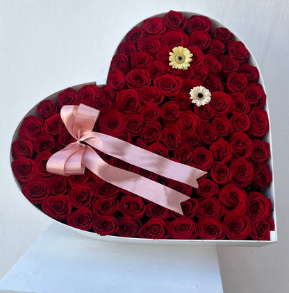 Red Rose