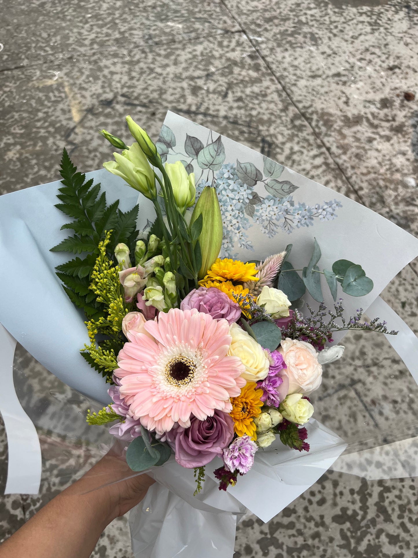 Gerberas