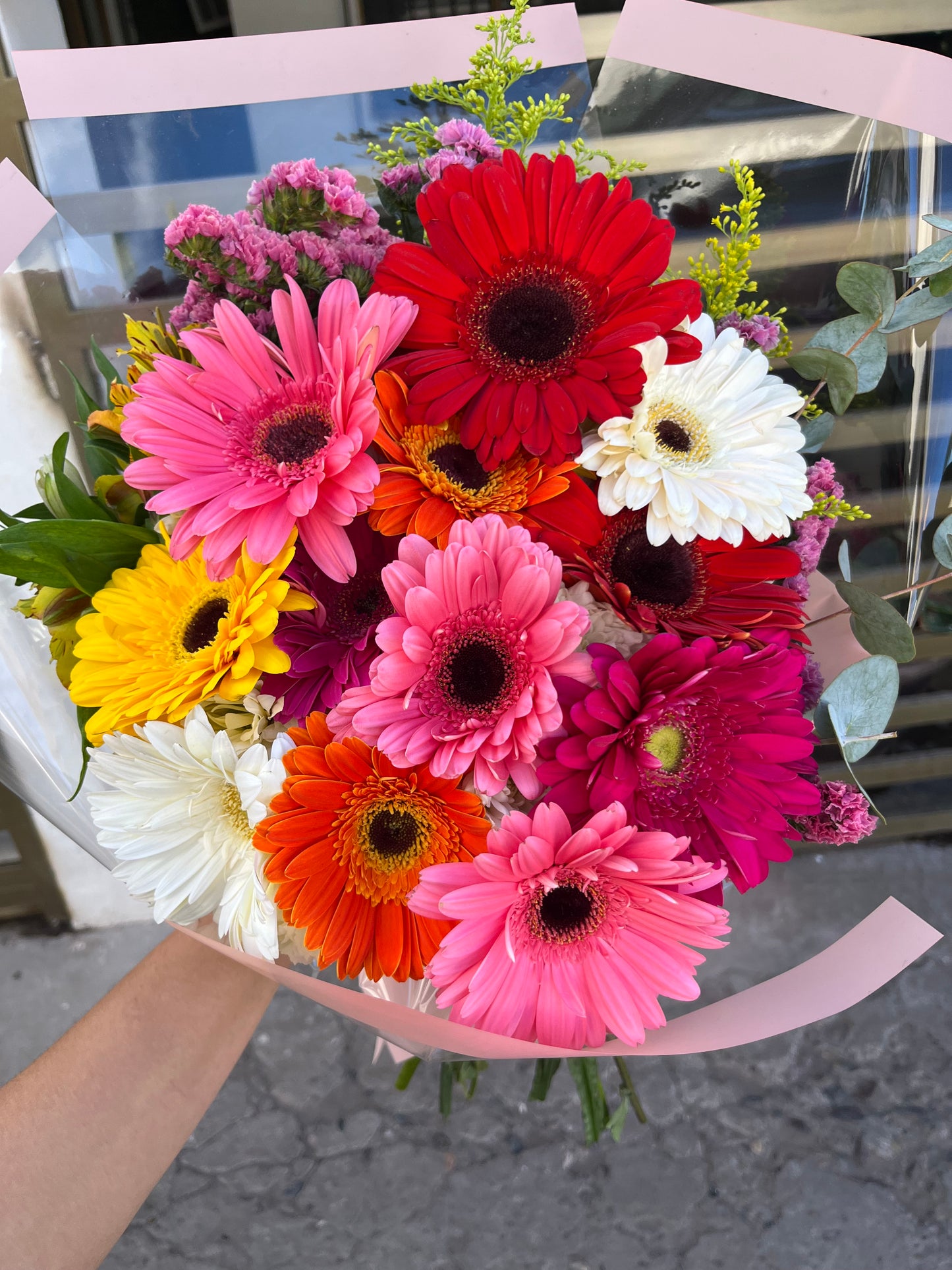 Gerberas