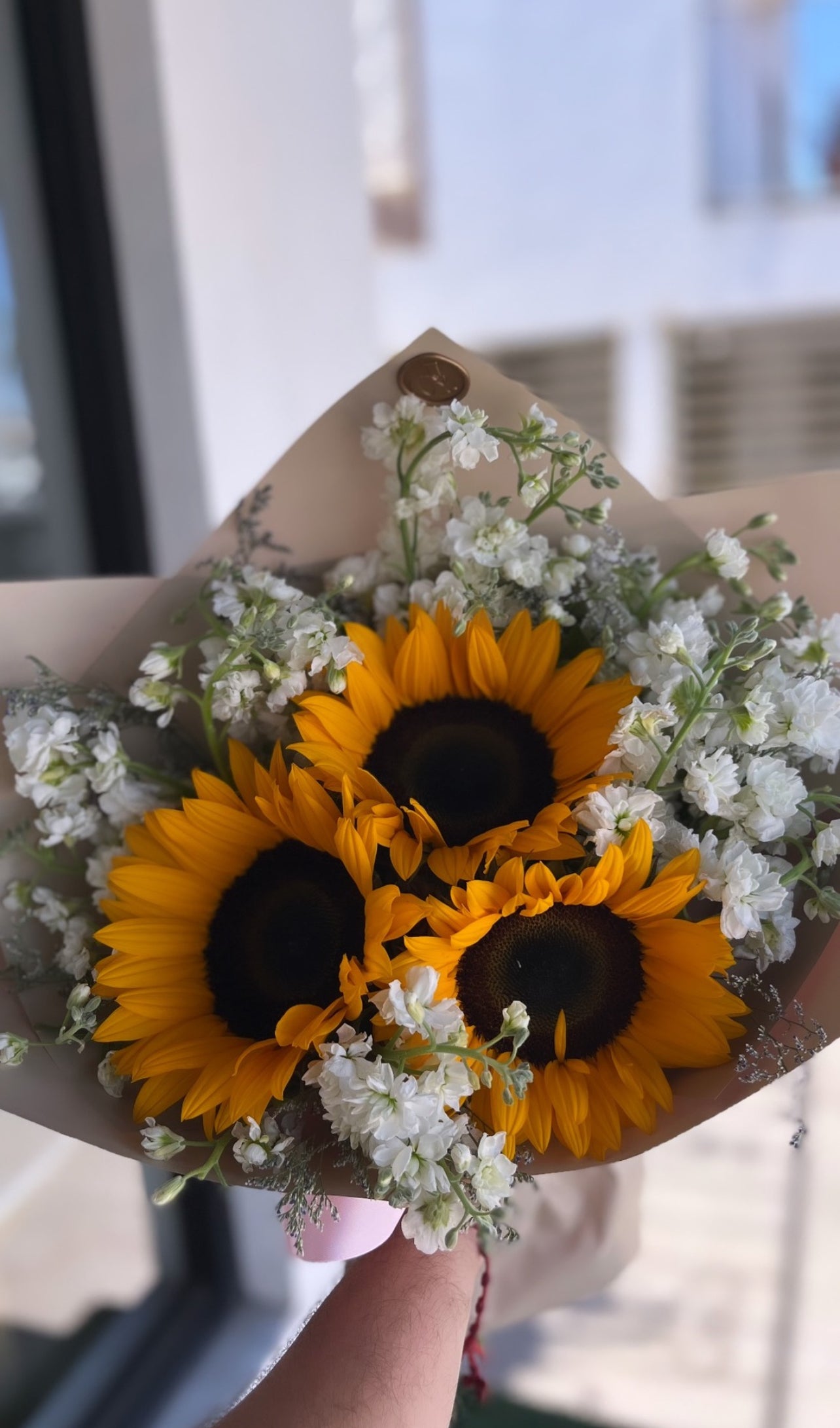 Girasoles