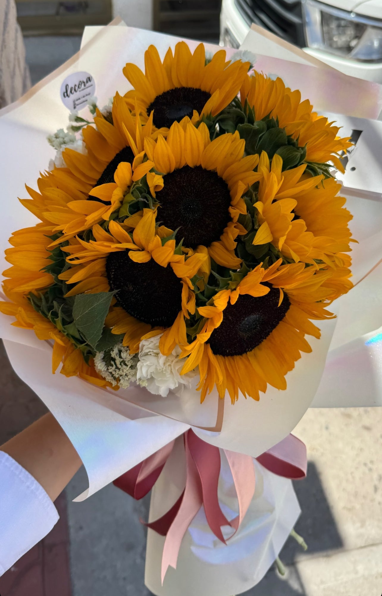 Girasoles